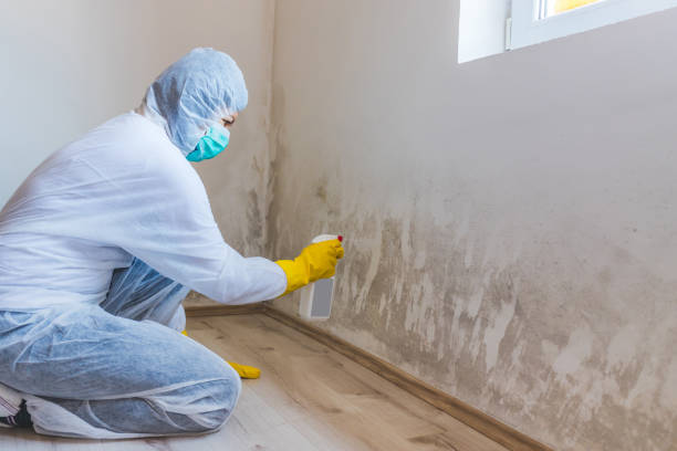 Licensed Crawl Space Mold Removal service in Central Islip, NY - WQB Mold Removal