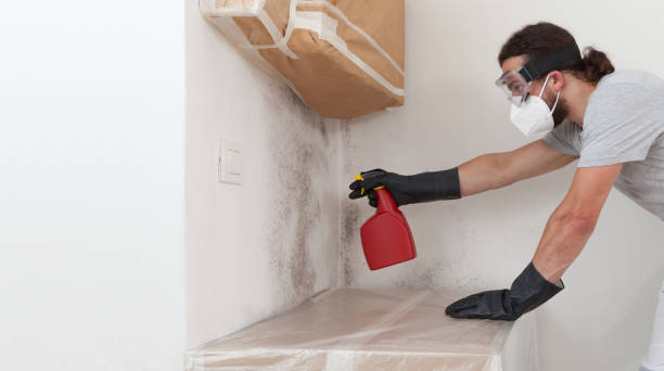 Professional Crawl Space Mold Removal technician working in Central Islip, NY