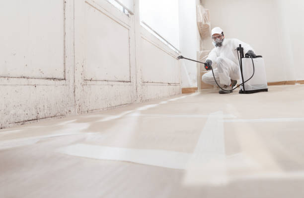 24/7 Emergency Crawl Space Mold Removal experts in Central Islip, NY