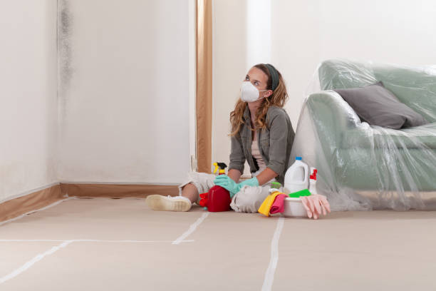 Reliable Crawl Space Mold Removal contractor in Central Islip, NY by WQB Mold Removal